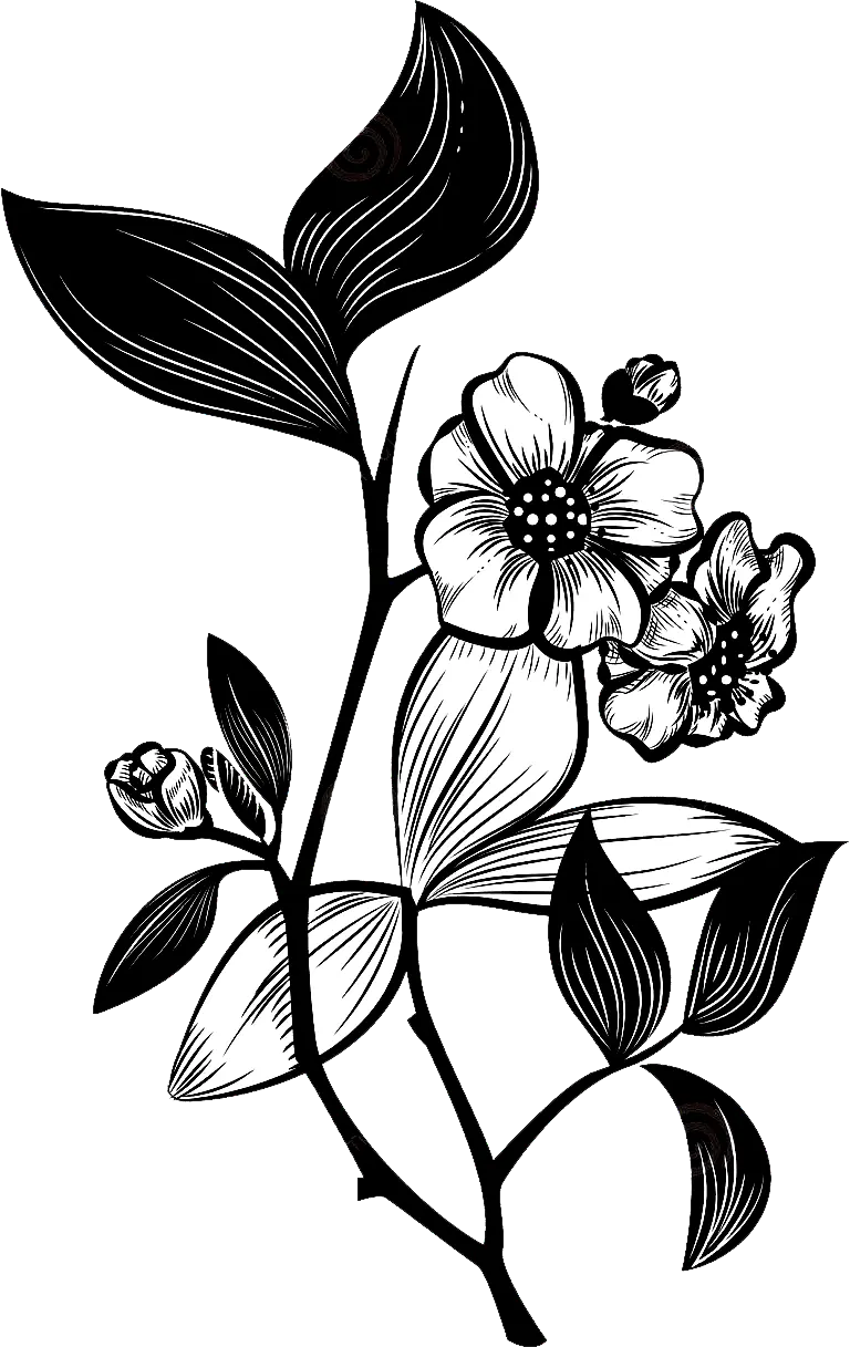 Arbore de ceai conservat