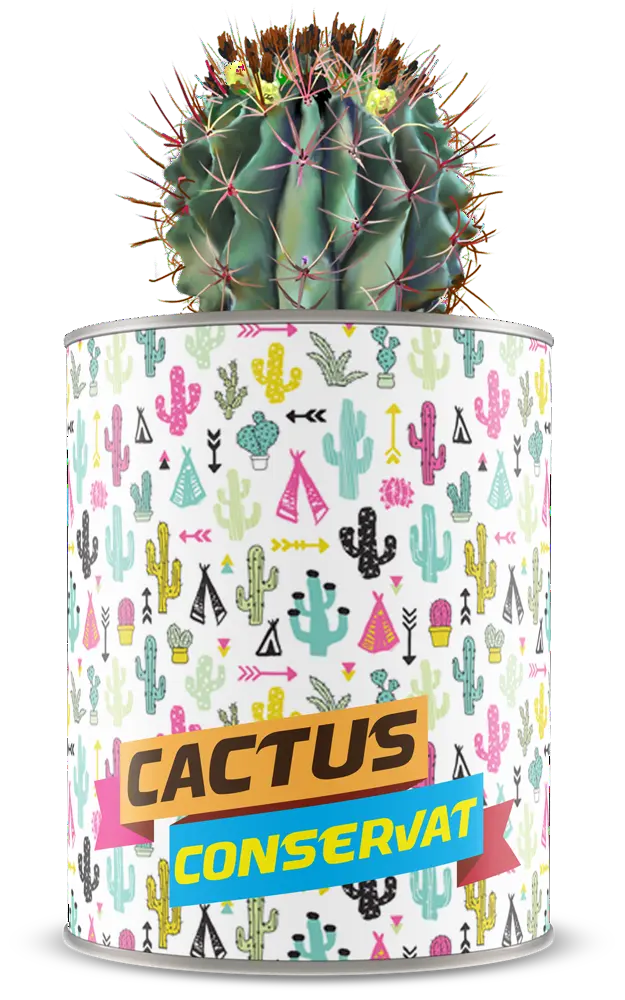 Cactus conservat