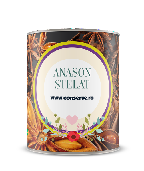 Conserva cu Anason stelat conservat