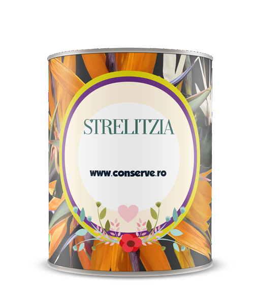 Conserva cu strelitzia conservata