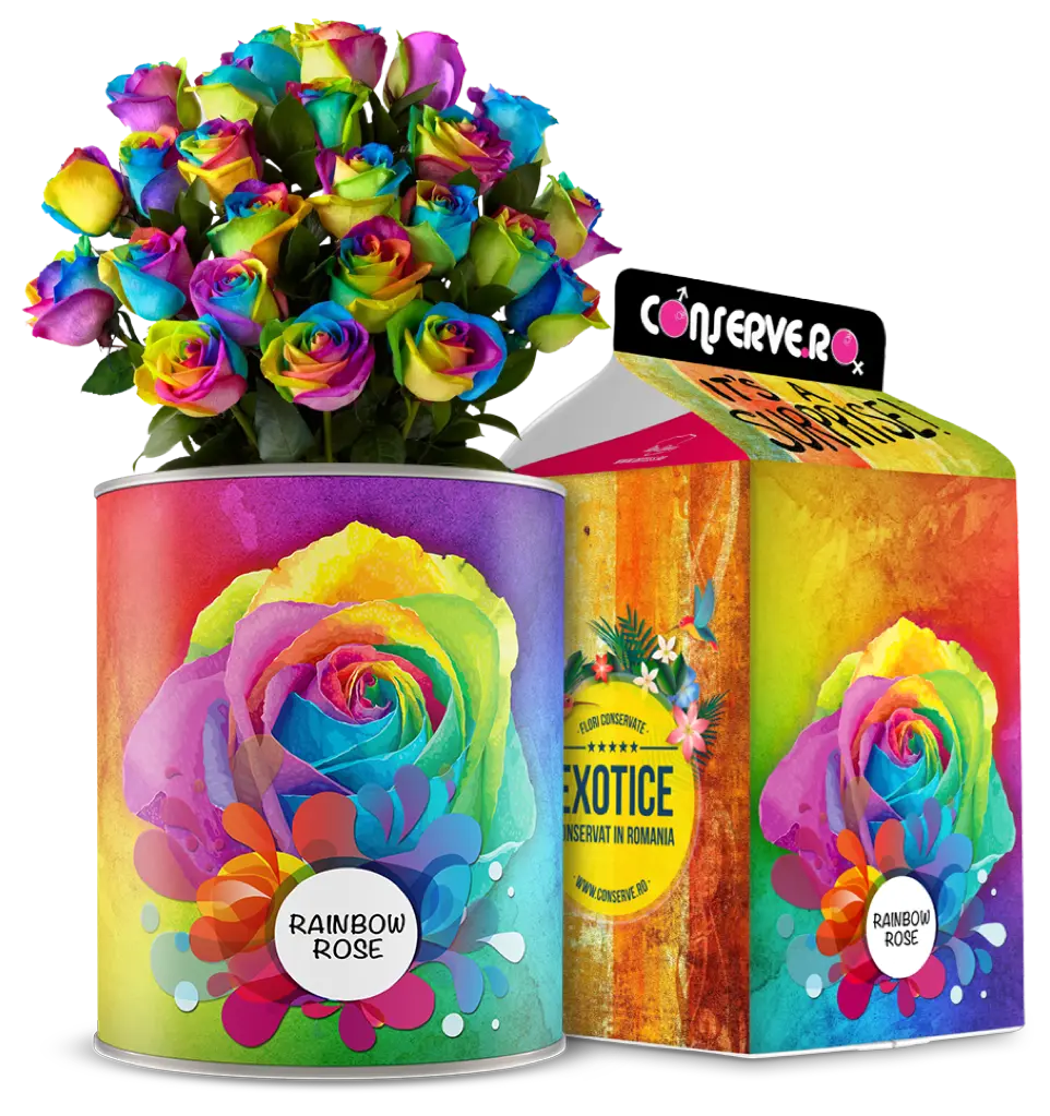 Conserva trandafir rainbow conservat