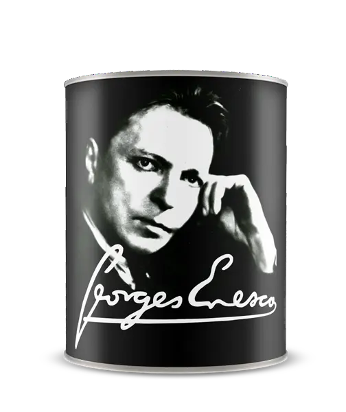 Conserva Festival George Enescu