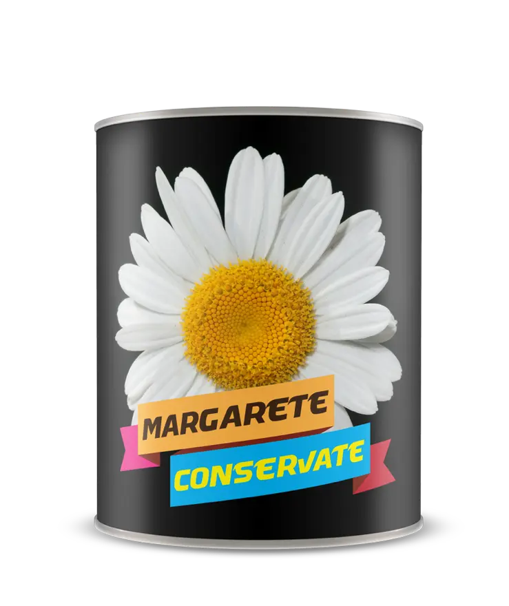 Margarete conservate
