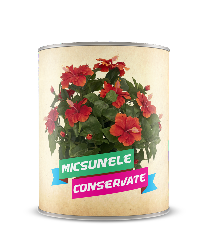 Micsunele ruginii conservate