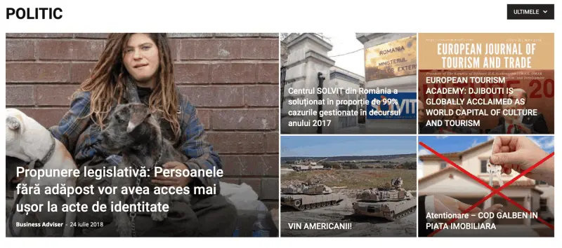 Business-Adviser_Politic