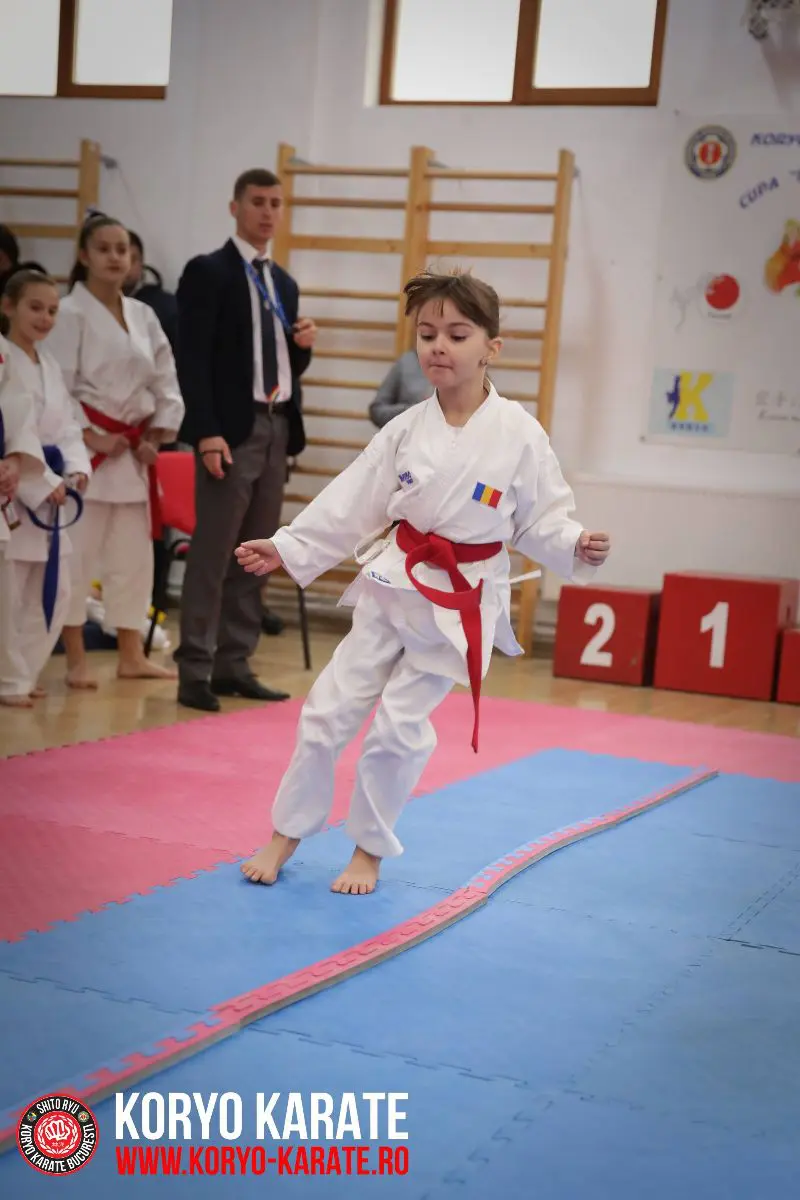 Cupa Mos Craciun 2017