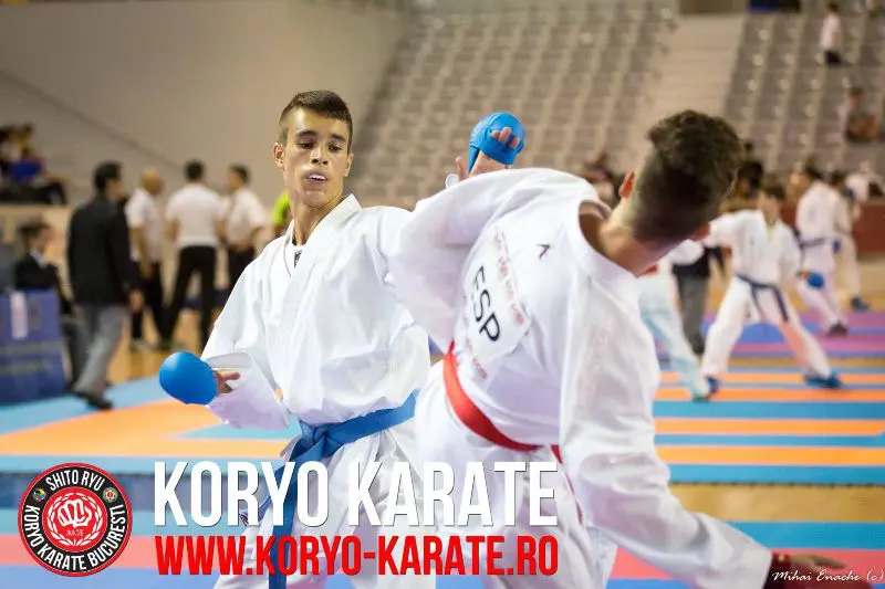 Campionatul Mondial - Koryo Karate