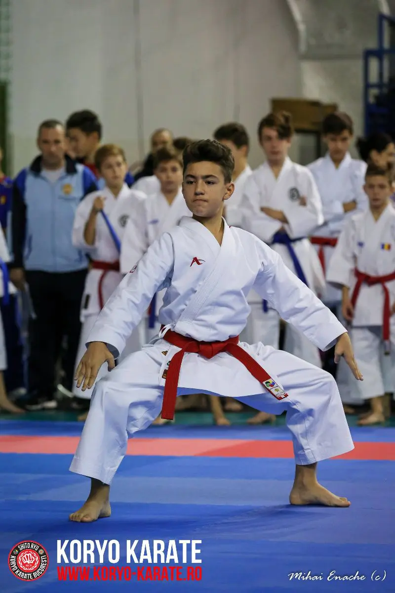 CN Karate Interstiluri 2017