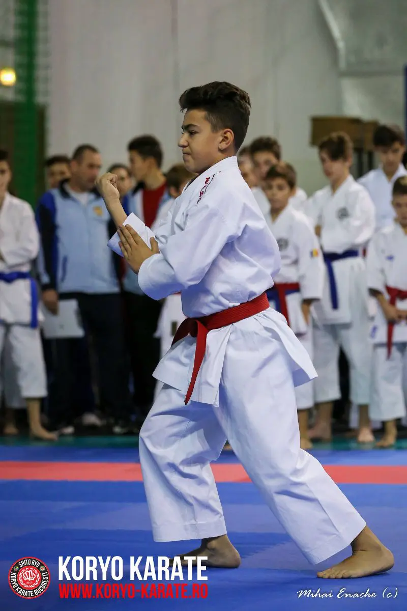 CN Karate Interstiluri 2017
