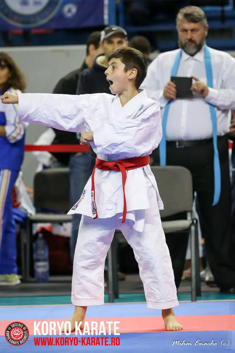 CN Karate Interstiluri 2017
