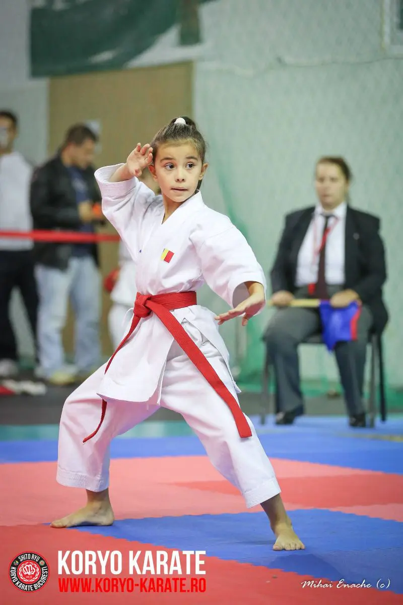 CN Shito-Ryu Traditional