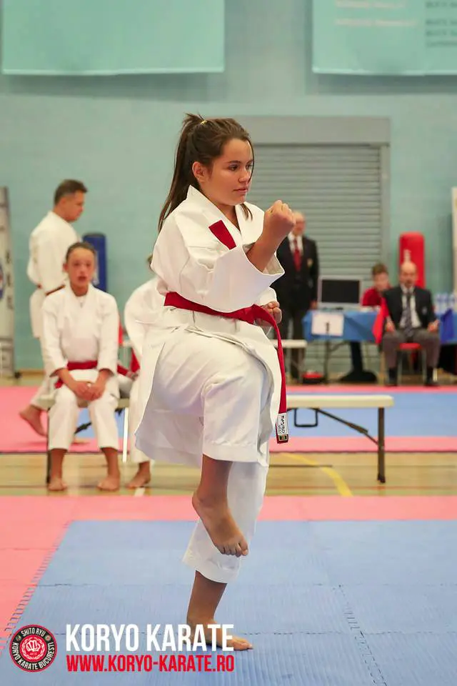Cupa Elite Karate London