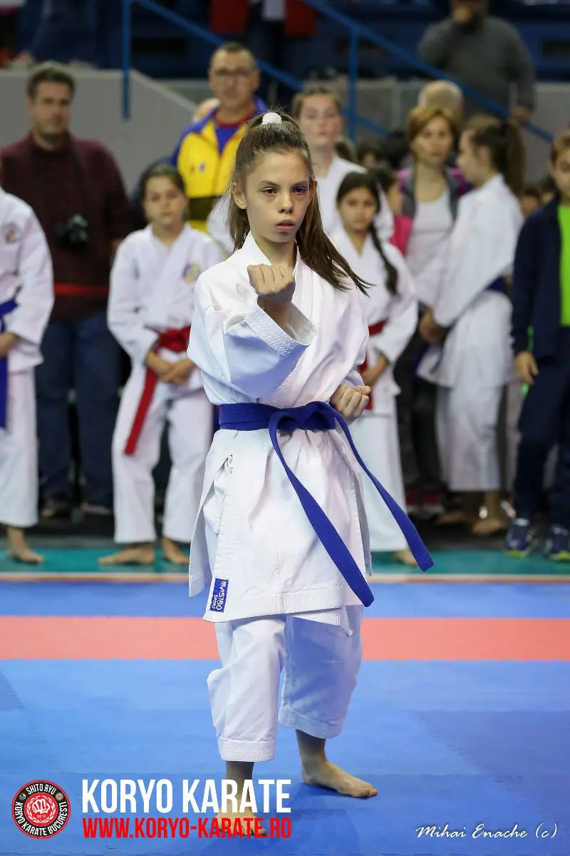 CN Karate Interstiluri 2017