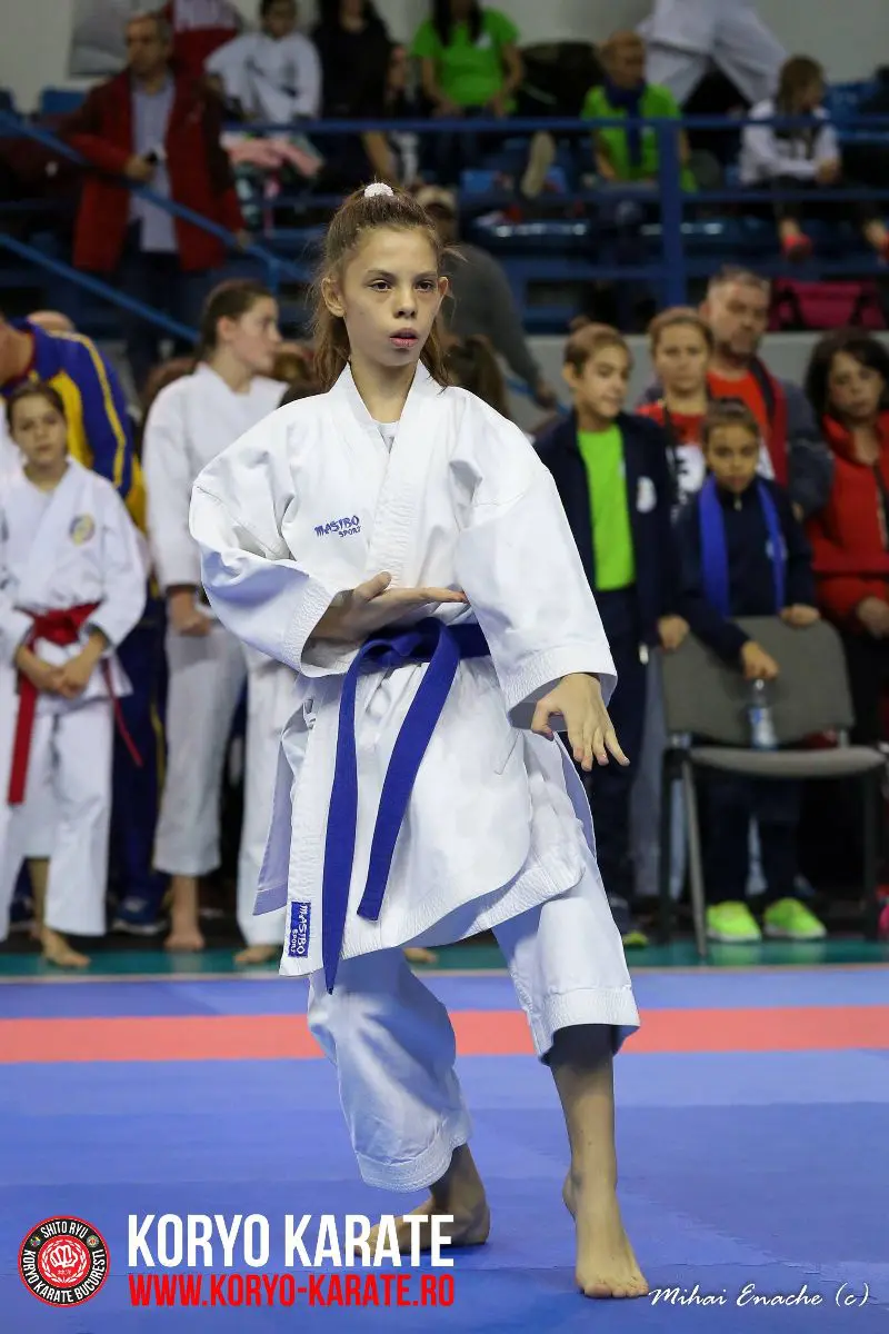 CN Karate Interstiluri 2017