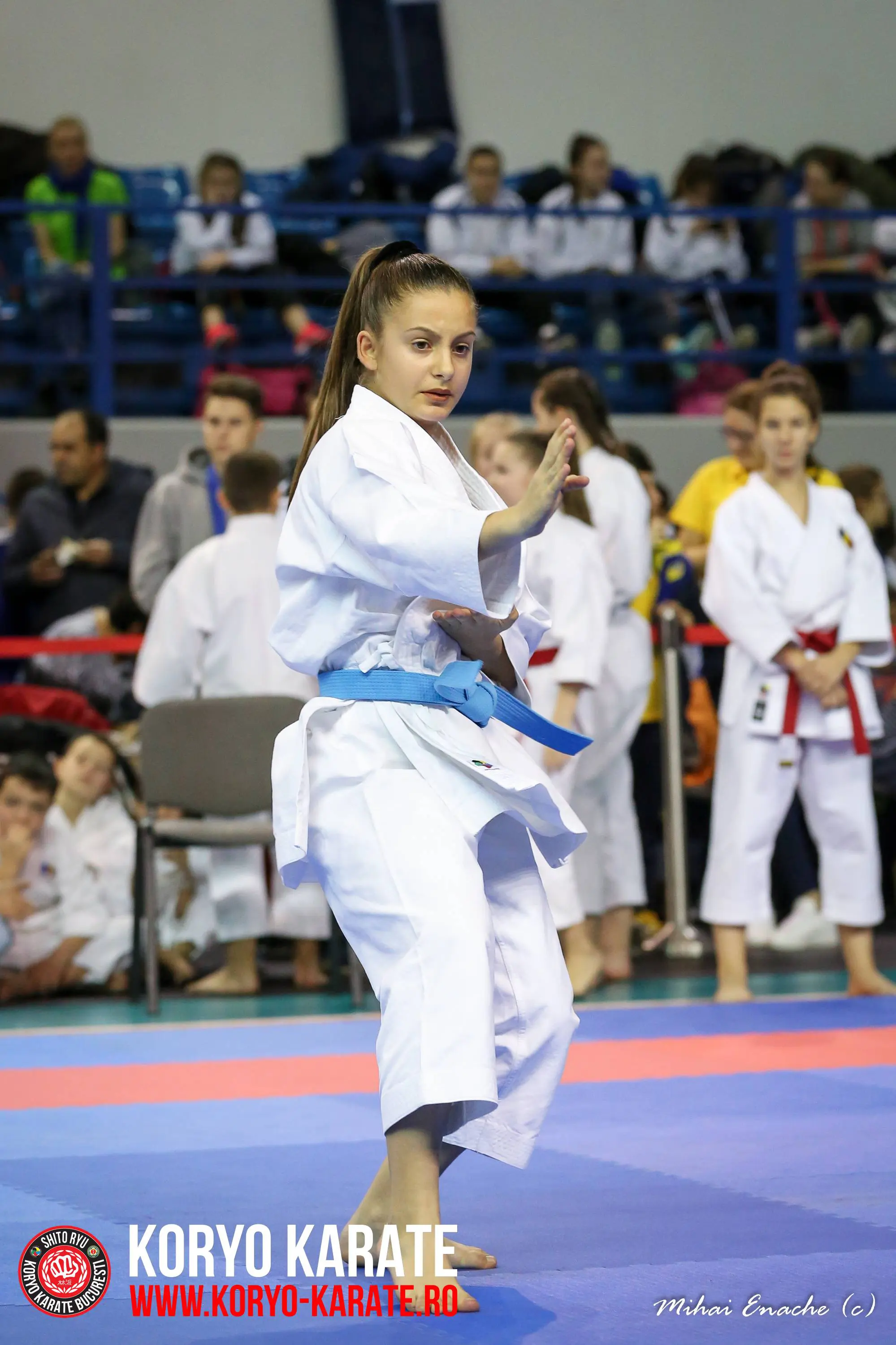 CN Karate Interstiluri 2017
