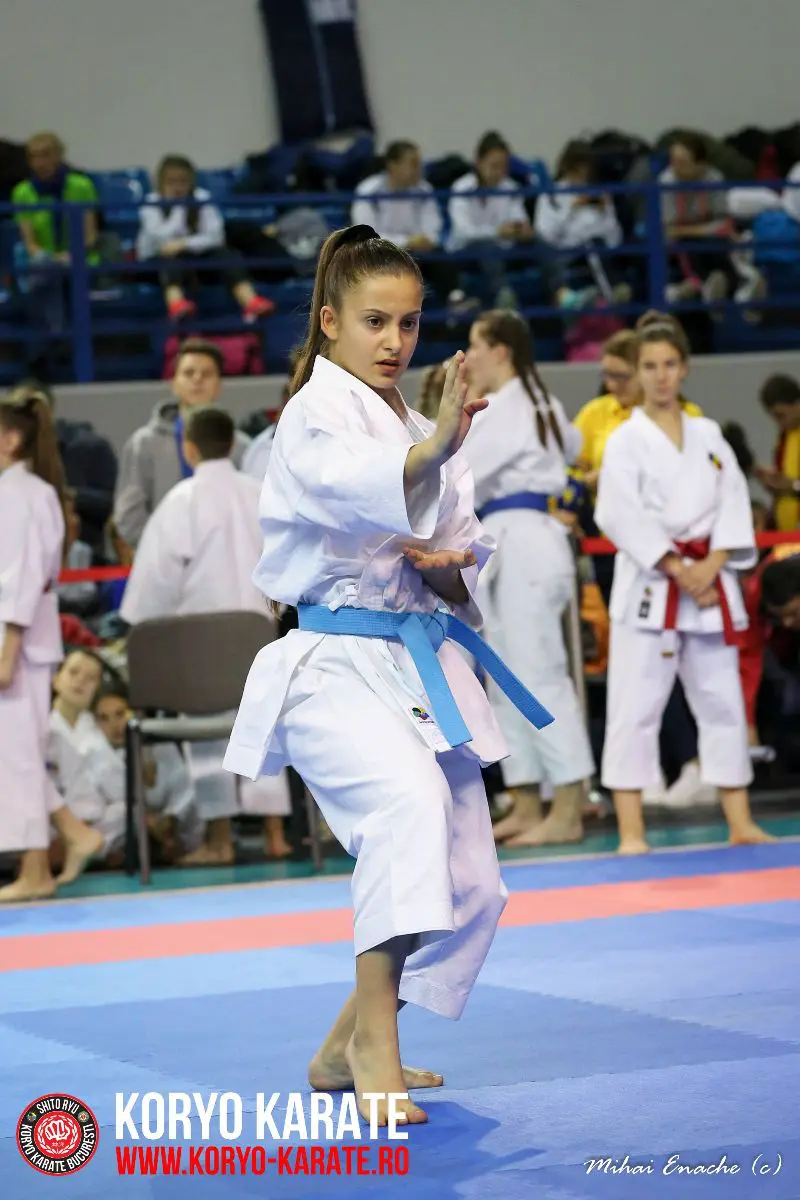 CN Karate Interstiluri 2017