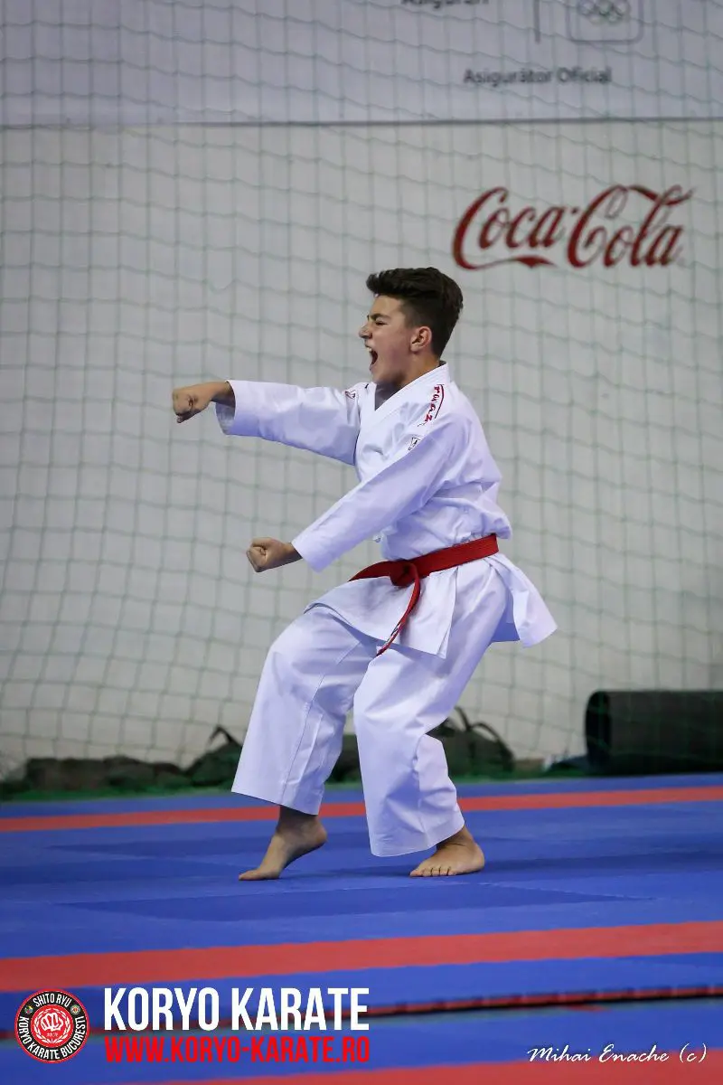 CN Karate Interstiluri 2017