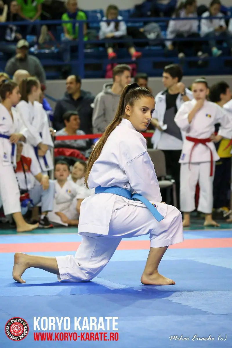 CN Karate Interstiluri 2017
