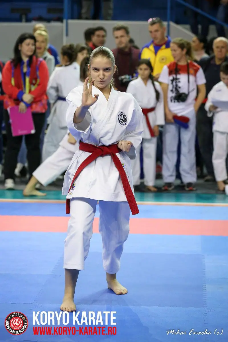 CN Karate Interstiluri 2017