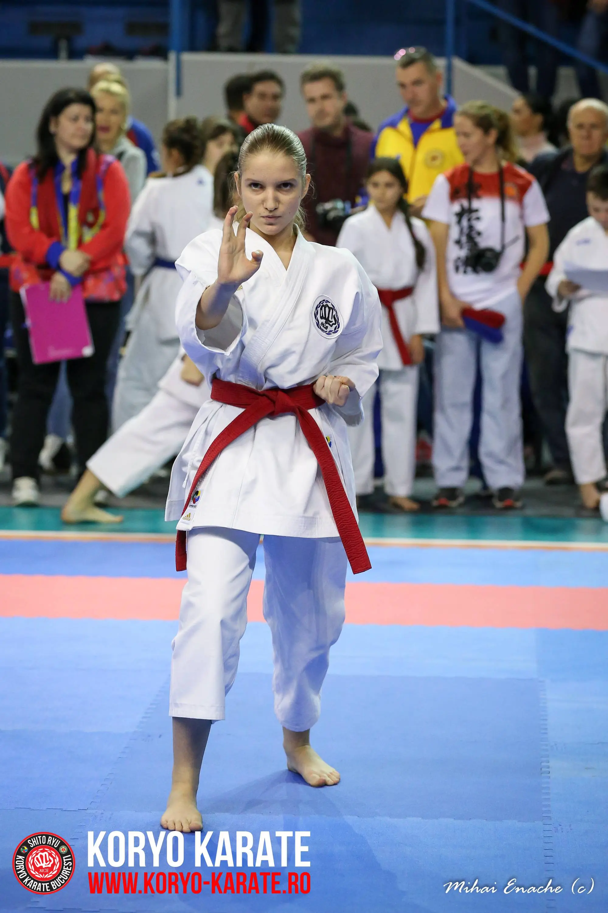 CN Karate Interstiluri 2017