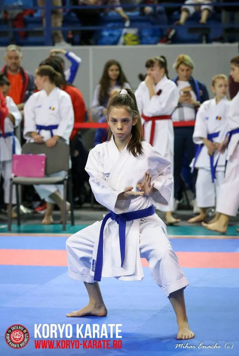 CN Karate Interstiluri 2017