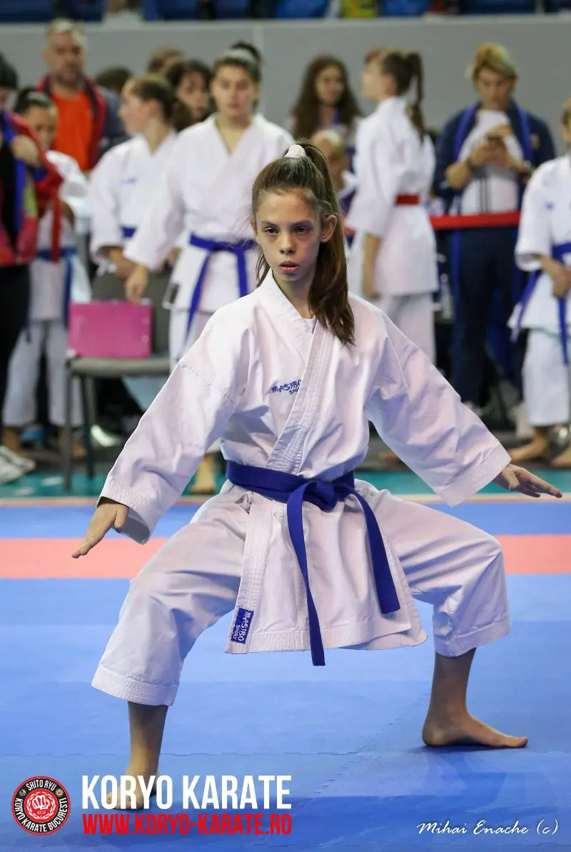 CN Karate Interstiluri 2017