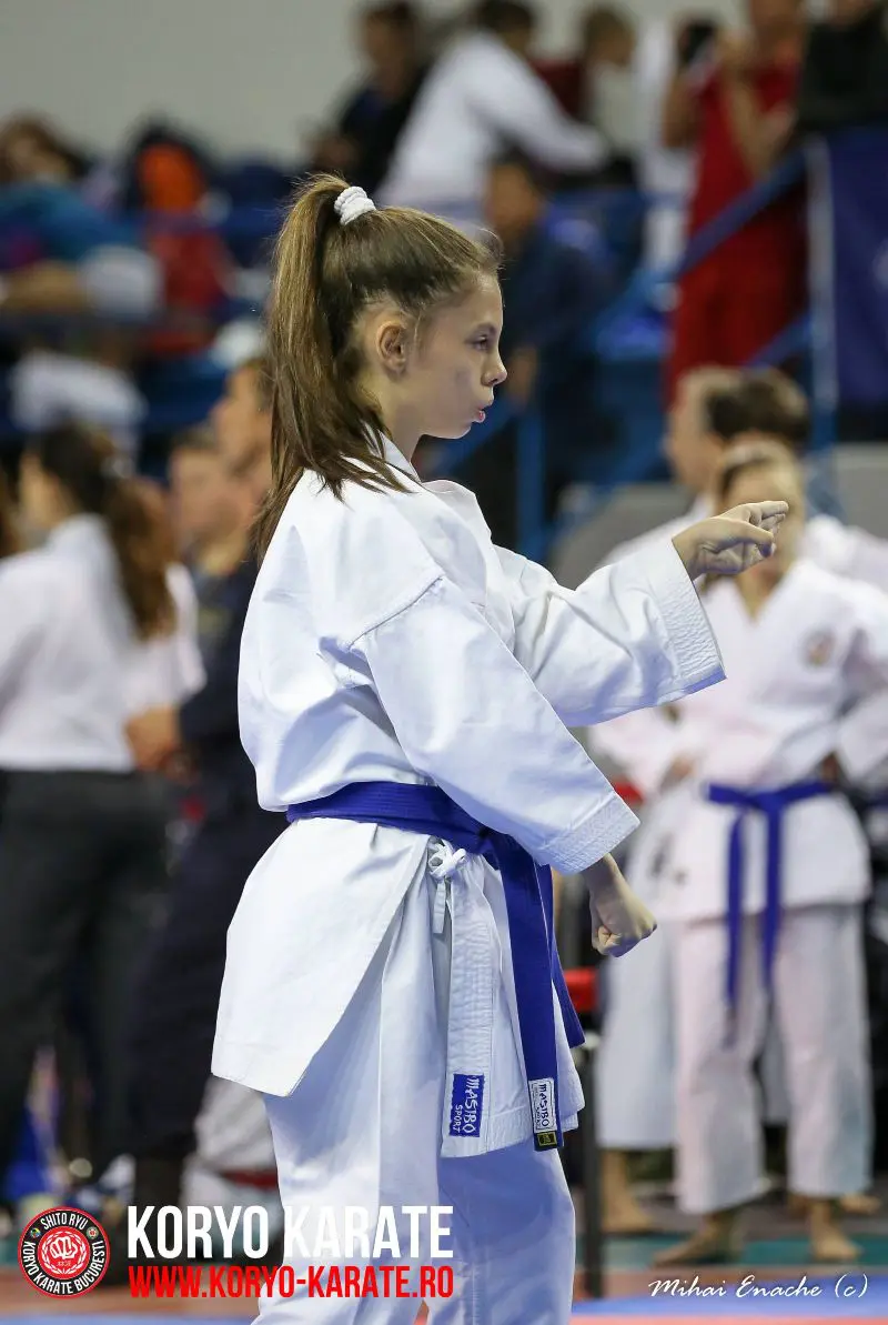 CN Karate Interstiluri 2017