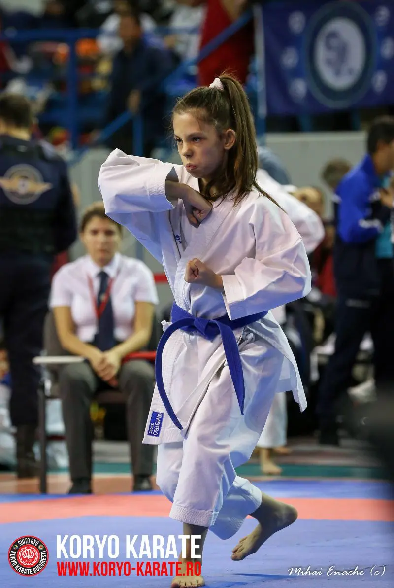 CN Karate Interstiluri 2017