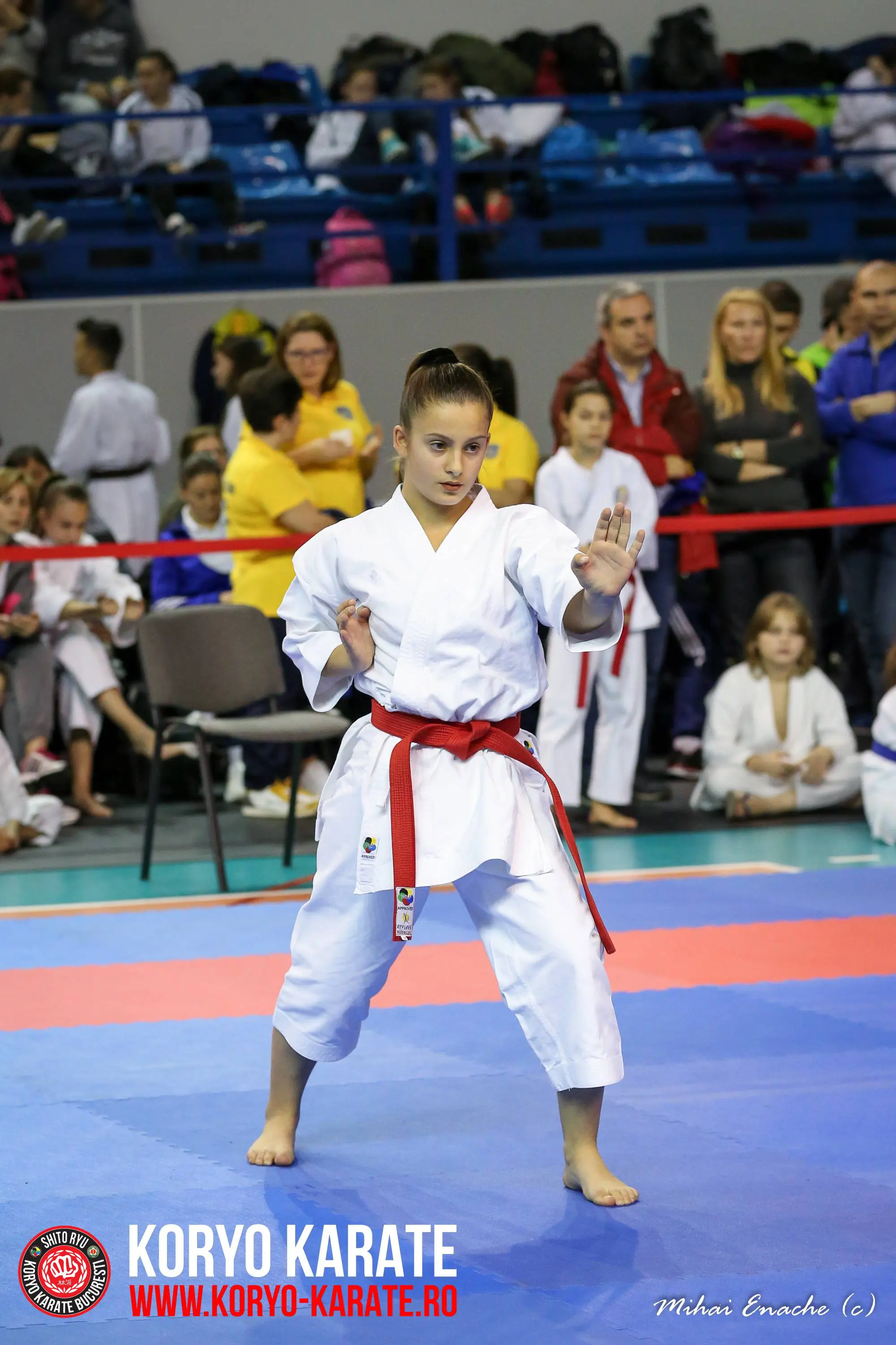 CN Karate Interstiluri 2017