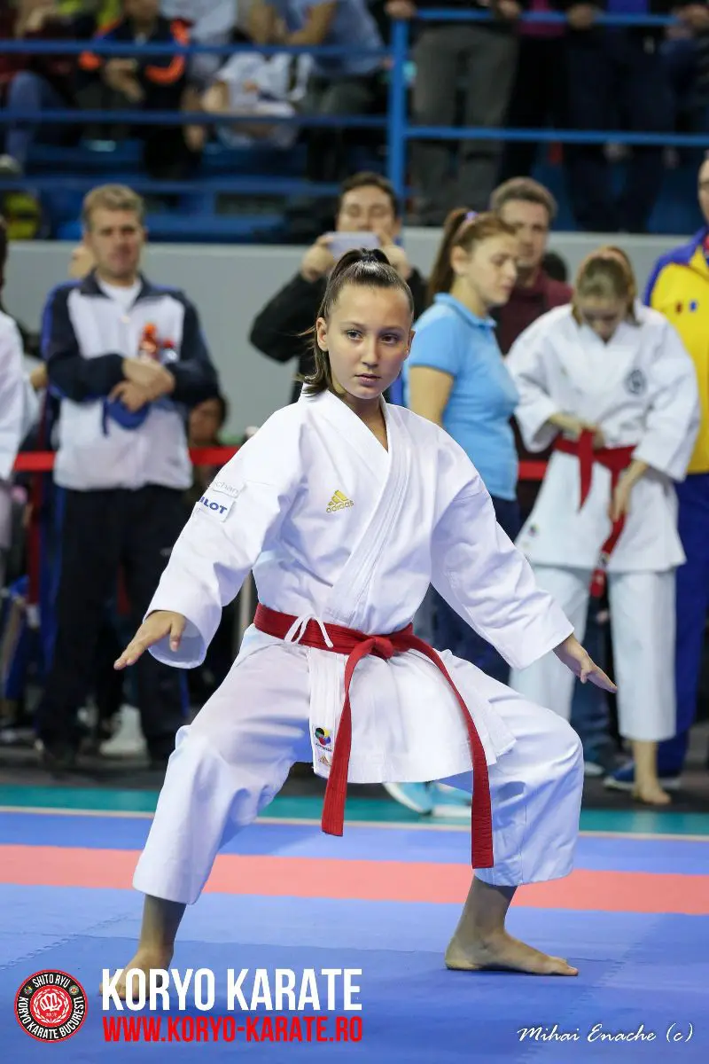 CN Karate Interstiluri 2017