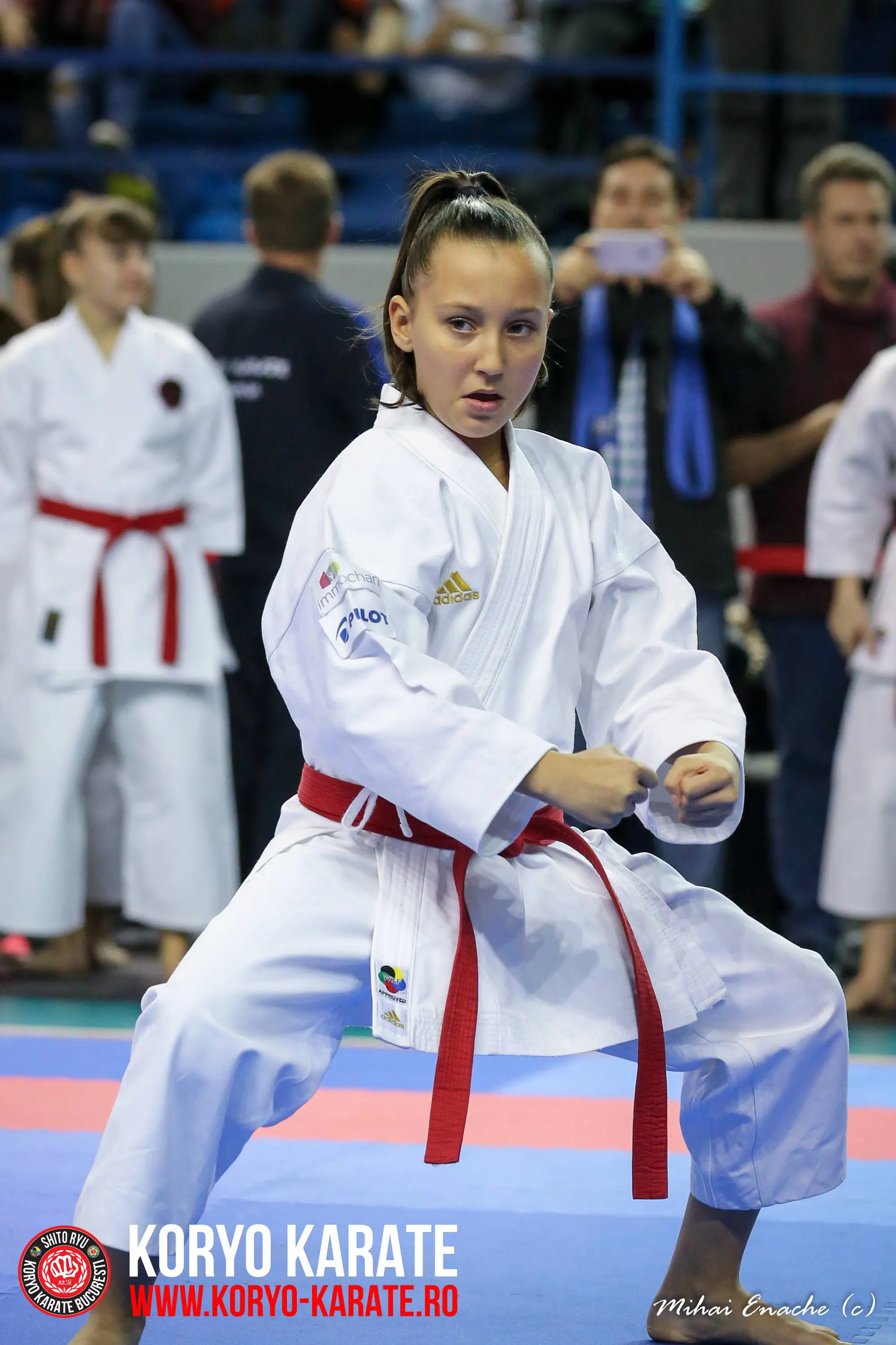 CN Karate Interstiluri 2017