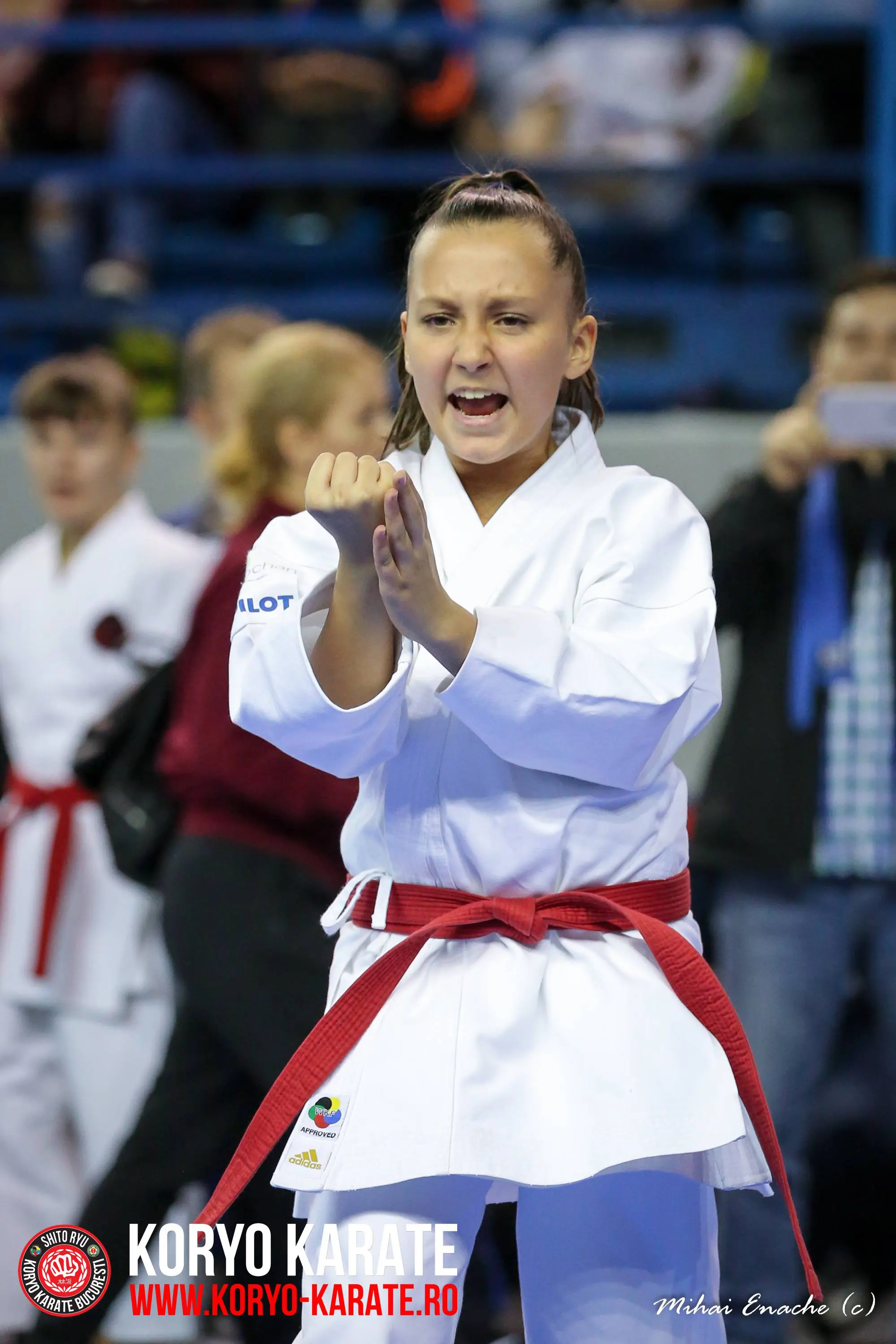 CN Karate Interstiluri 2017