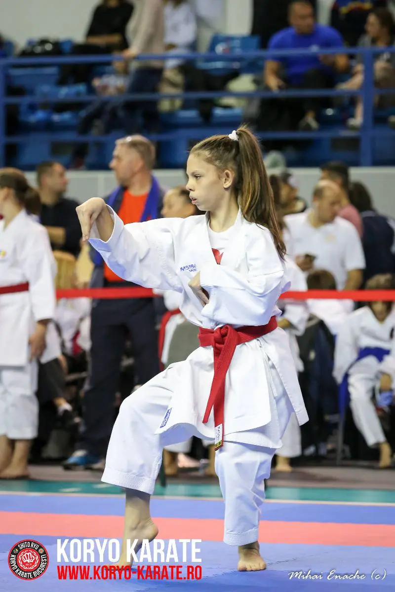 CN Karate Interstiluri 2017