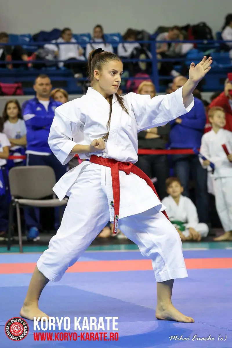 CN Karate Interstiluri 2017