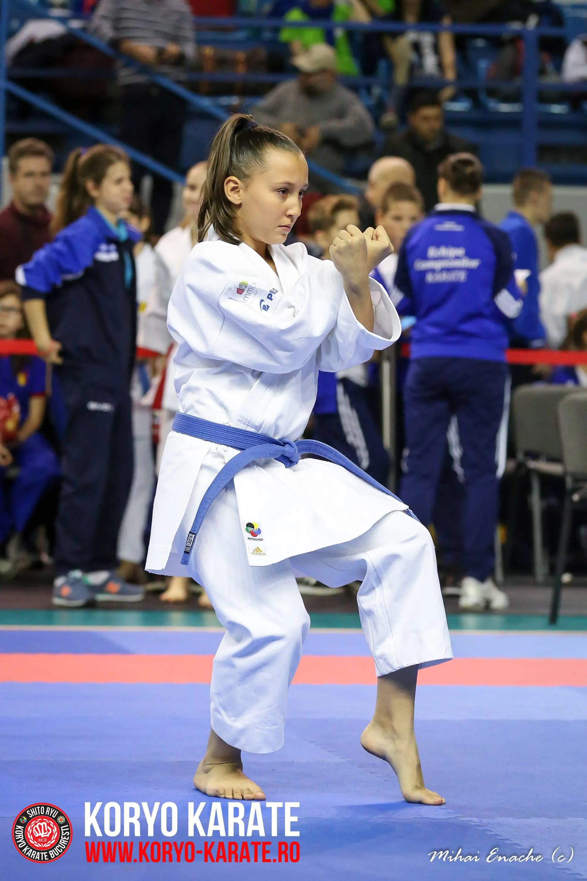 CN Karate Interstiluri 2017