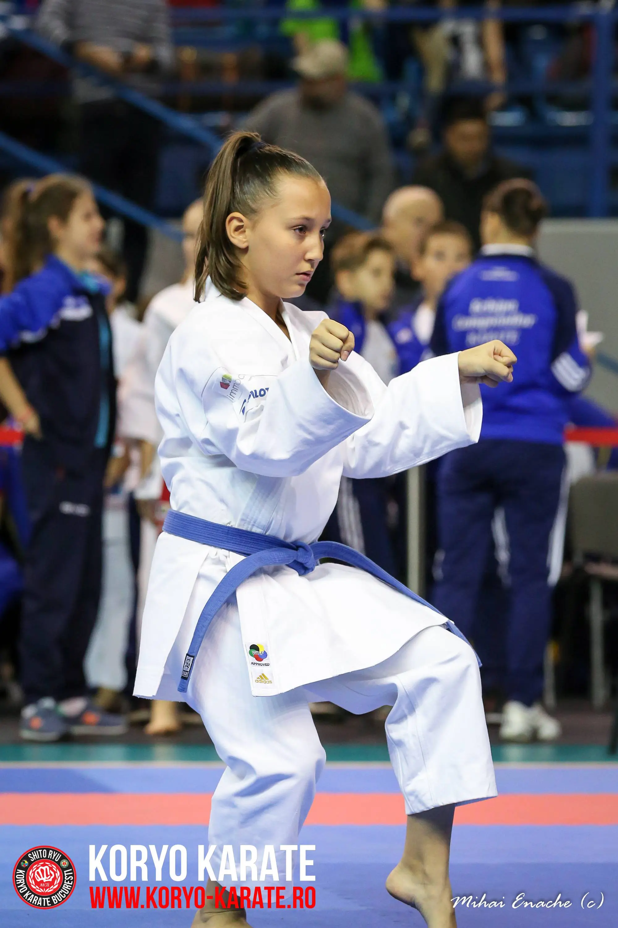 CN Karate Interstiluri 2017