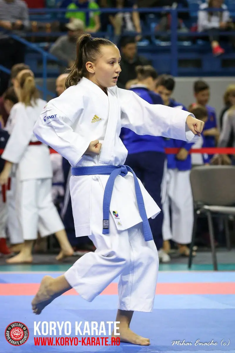 CN Karate Interstiluri 2017