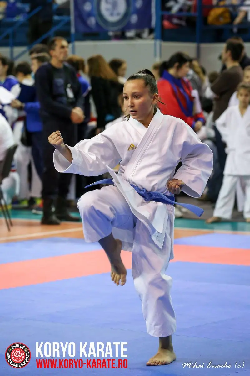 CN Karate Interstiluri 2017