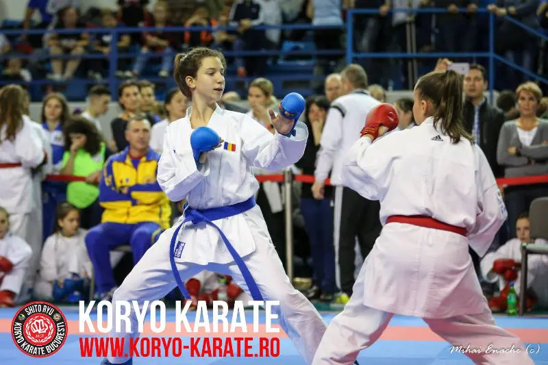 CN Karate Interstiluri 2017