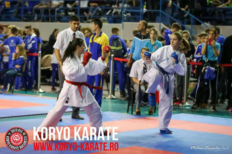CN Karate Interstiluri 2017