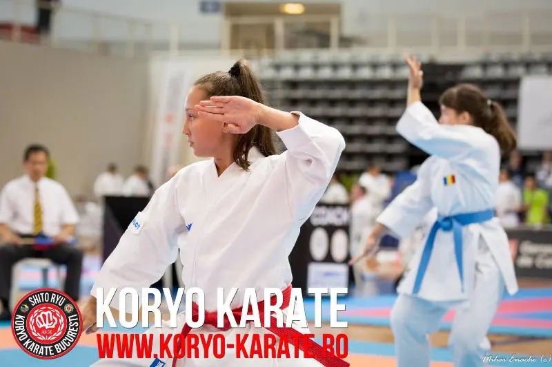 Campionatul Mondial - Koryo Karate