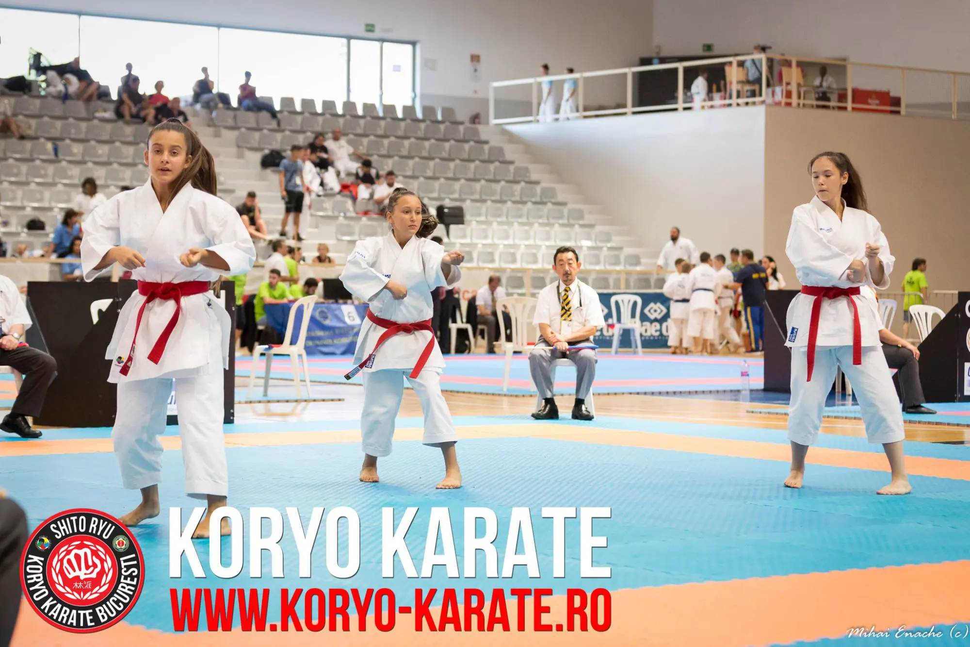 Campionatul Mondial - Koryo Karate